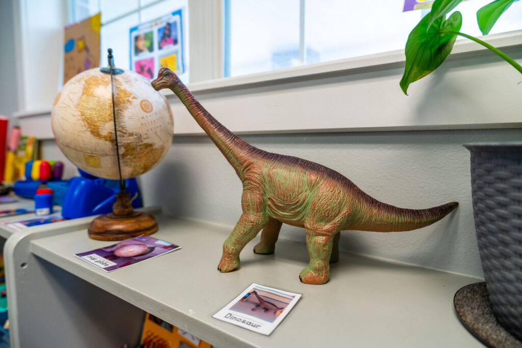 A toy dinosaur and a globe on a classroom science shelf